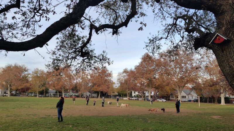 Sierra 2 Green - Sacramento, CA