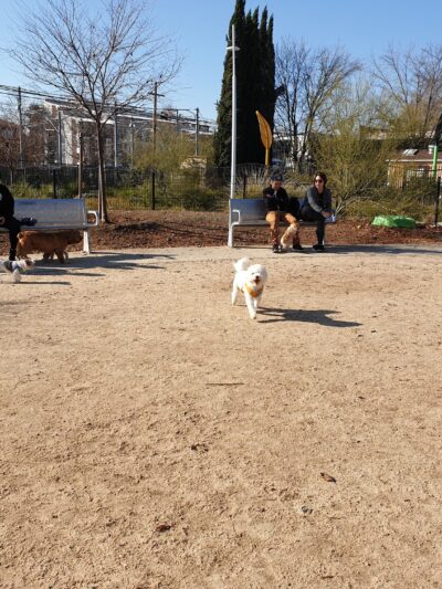 Truitt Bark Park - Sacramento, CA