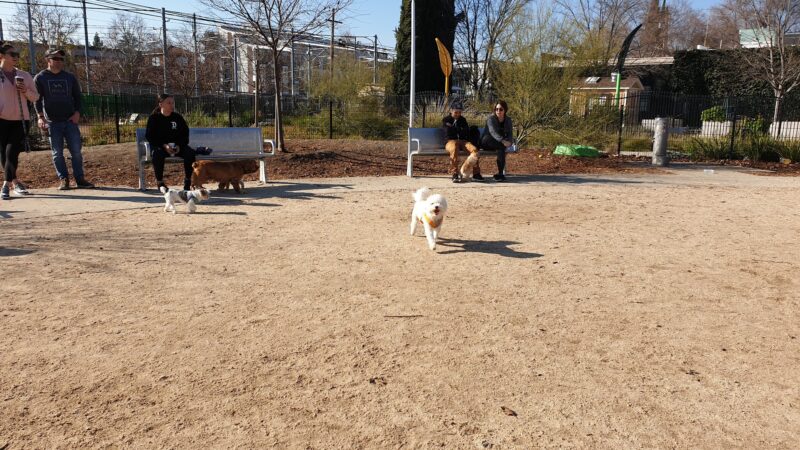 Truitt Bark Park - Sacramento, CA