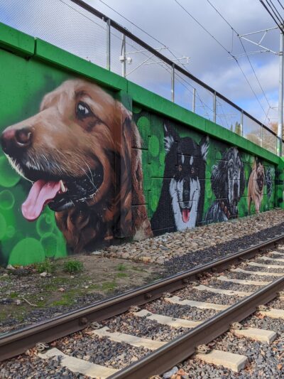 Truitt Bark Park - Sacramento, CA