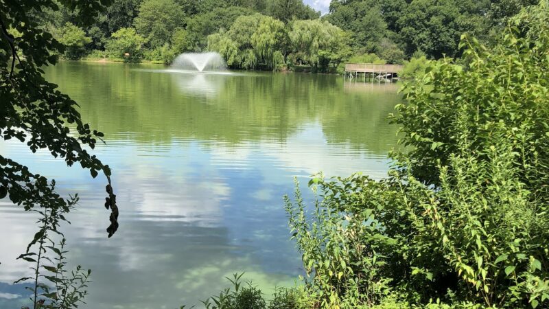 Saddle River Bike Path Parking 2 - Saddle Brook, NJ