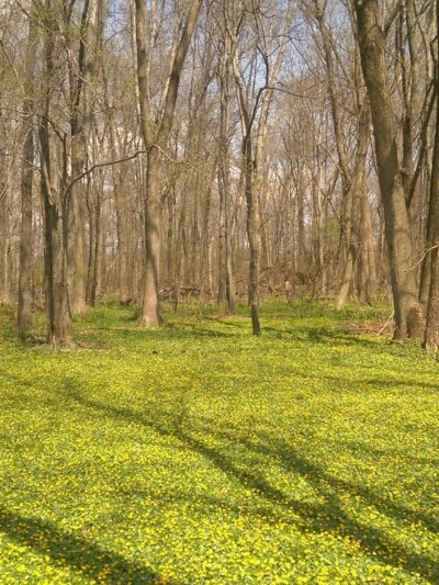 Saddle River Bike Path Parking 2 - Saddle Brook, NJ