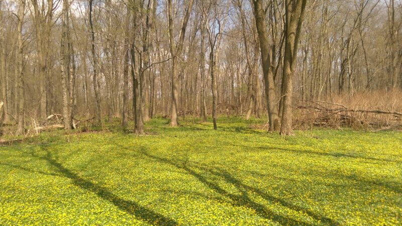 Saddle River Bike Path Parking 2 - Saddle Brook, NJ