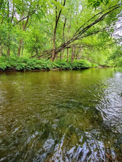 Saddle River Bike Path Parking 2 - Saddle Brook, NJ