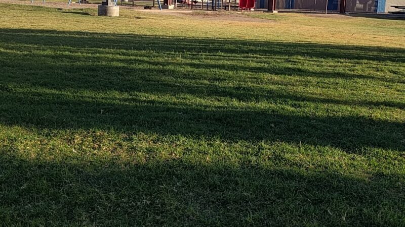 Firth Park - Safford, AZ