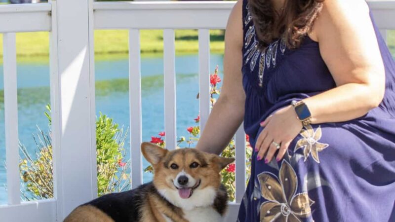 Jays Paws On The Go - Sag Harbor, NY