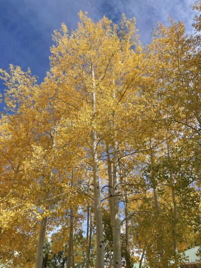 Otto Mears Park - Saguache, CO