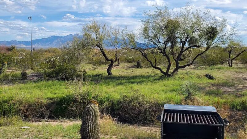 Anamax Dog Park - Sahuarita, AZ