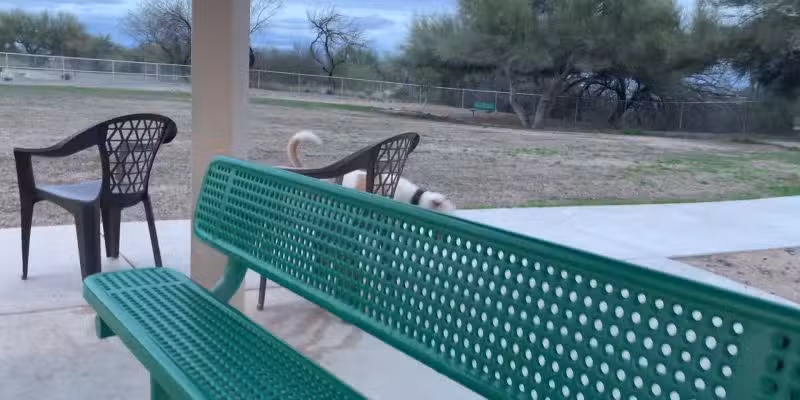 Anamax Dog Park - Sahuarita, AZ