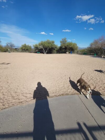 Anamax Dog Park - Sahuarita, AZ