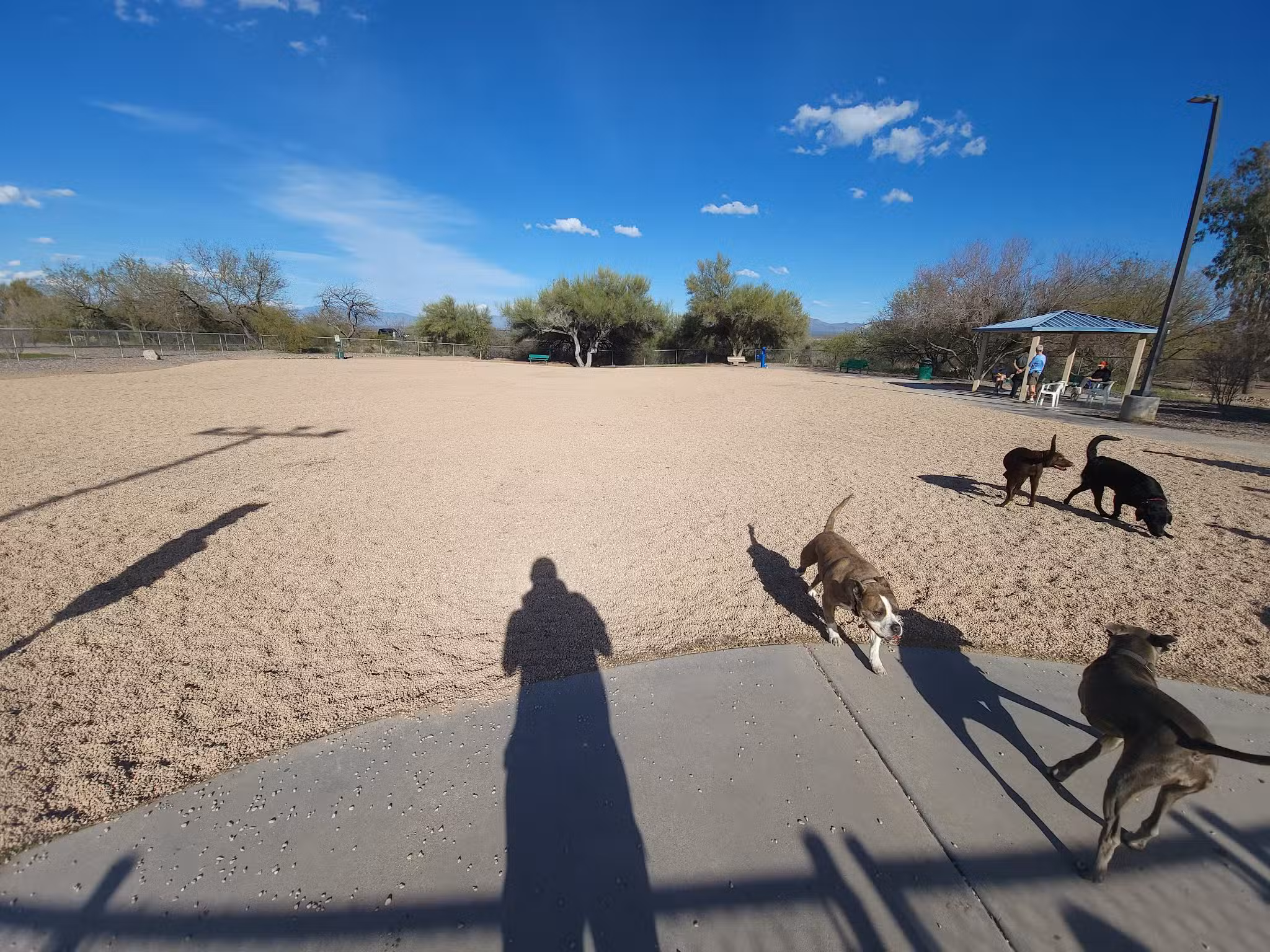 Anamax Dog Park - Sahuarita, AZ