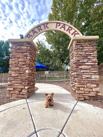 Bark Park - Sahuarita, AZ