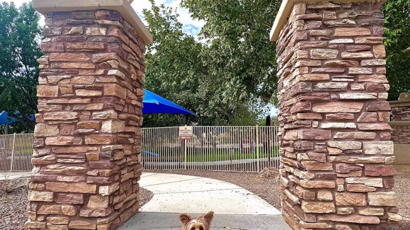 Bark Park - Sahuarita, AZ