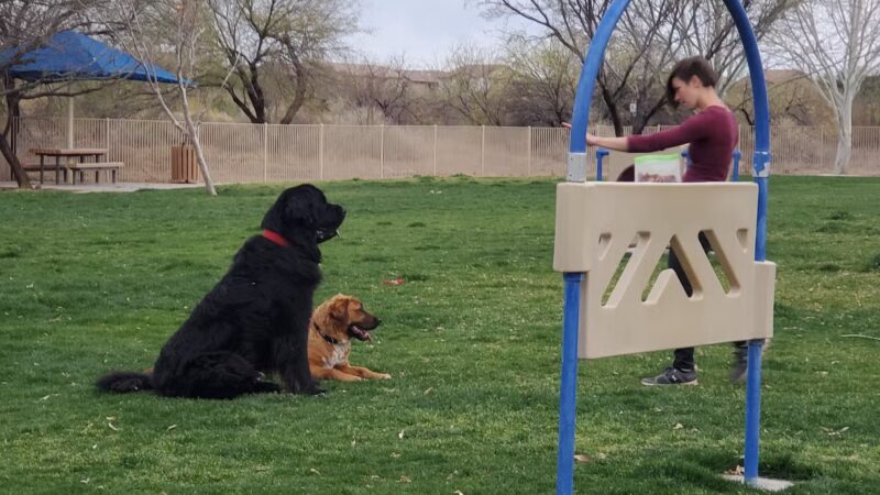 Bark Park - Sahuarita, AZ