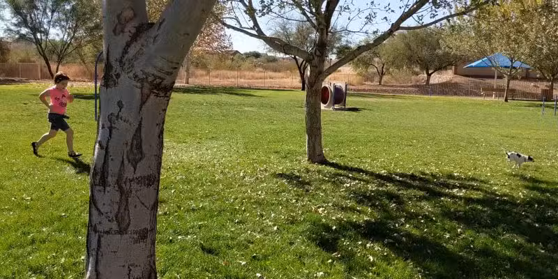 Bark Park - Sahuarita, AZ
