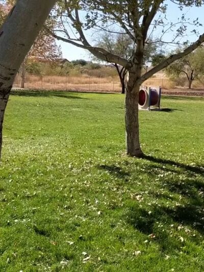 Bark Park - Sahuarita, AZ