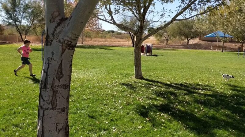 Bark Park - Sahuarita, AZ