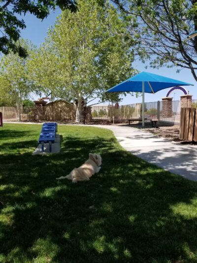 Bark Park - Sahuarita, AZ