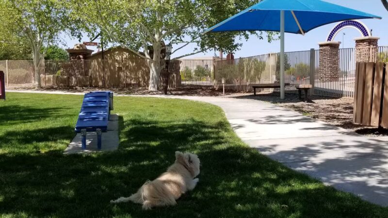 Bark Park - Sahuarita, AZ