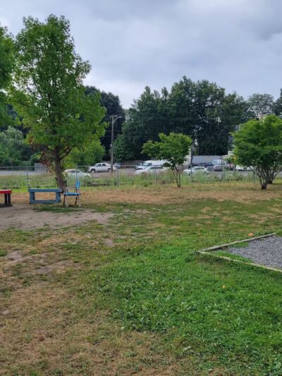 Salem Play Area for Canine Exercise (SPACE) - Salem, MA