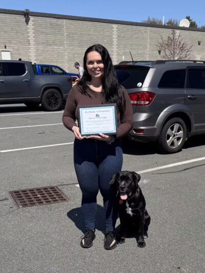 Chris Park k9 Dog Training - Salem, NH