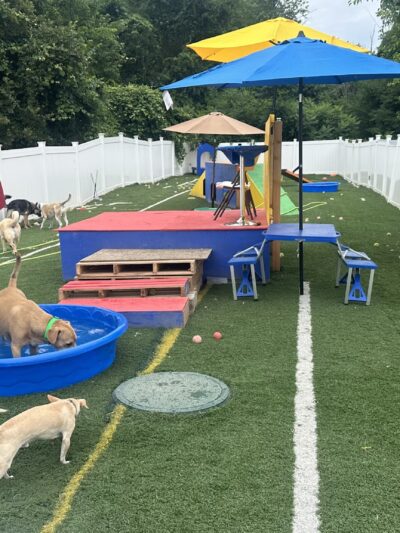 Happy Tails Home - Salem, NH