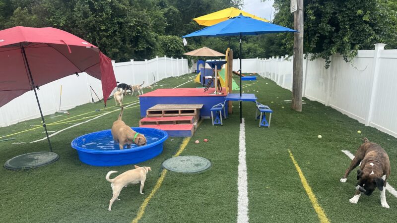 Happy Tails Home - Salem, NH