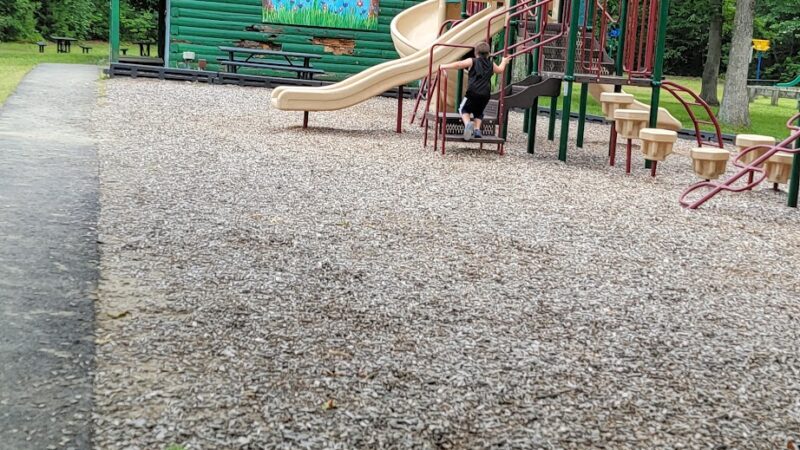 Hedgehog Park - Salem, NH