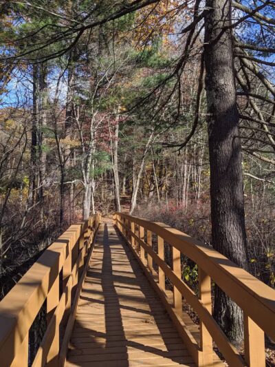 Salem Town Forest - Salem, NH