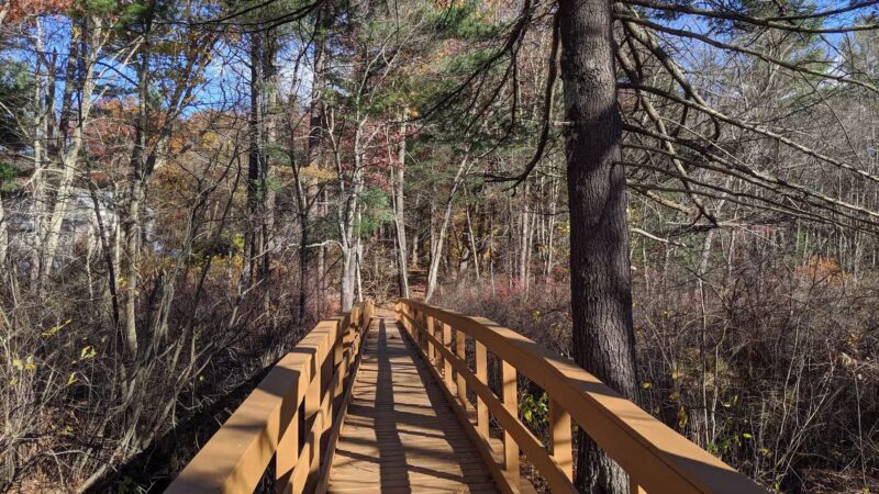 Salem Town Forest - Salem, NH