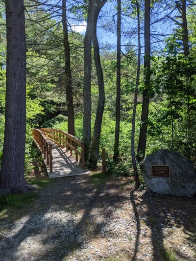 Salem Town Forest - Salem, NH