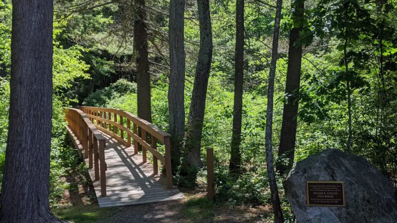 Salem Town Forest - Salem, NH