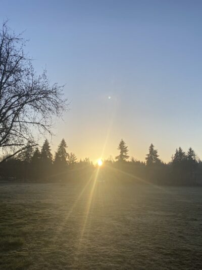 Minto-Brown Island Off-Leash Dog Park Parking Lot - Salem, OR