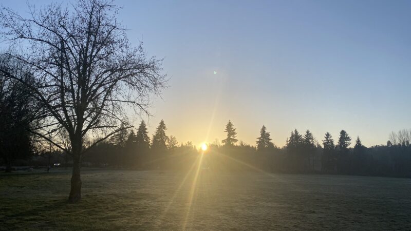 Minto-Brown Island Off-Leash Dog Park Parking Lot - Salem, OR