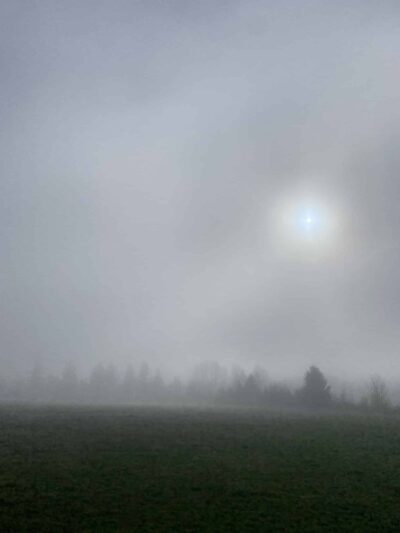 Minto-Brown Island Off-Leash Dog Park Parking Lot - Salem, OR