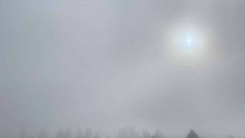 Minto-Brown Island Off-Leash Dog Park Parking Lot - Salem, OR