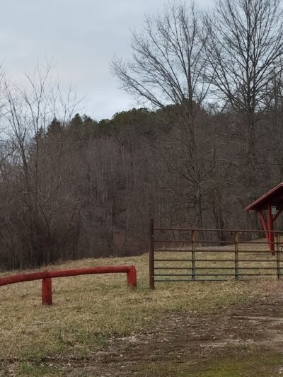 Dog Run Lake - Salem, WV