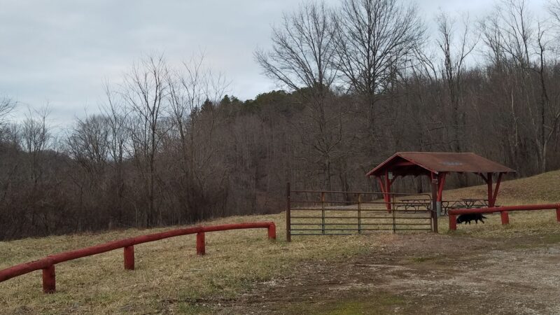 Dog Run Lake - Salem, WV