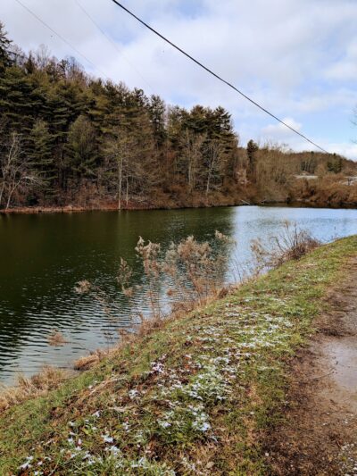 Dog Run Lake - Salem, WV