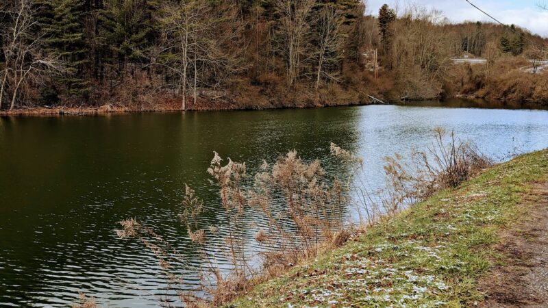 Dog Run Lake - Salem, WV
