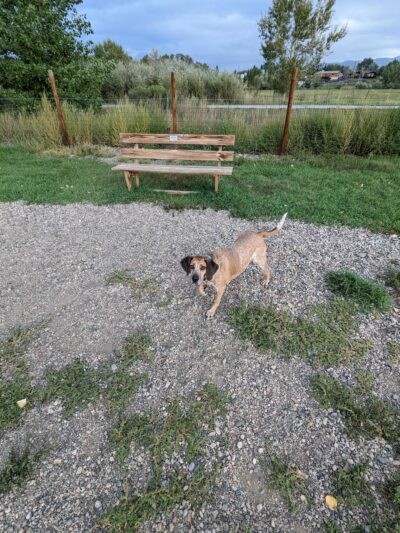 Dog Park - Salida, CO