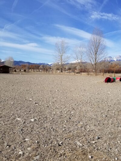 Loyal Duke's Dog Park - Salida, CO