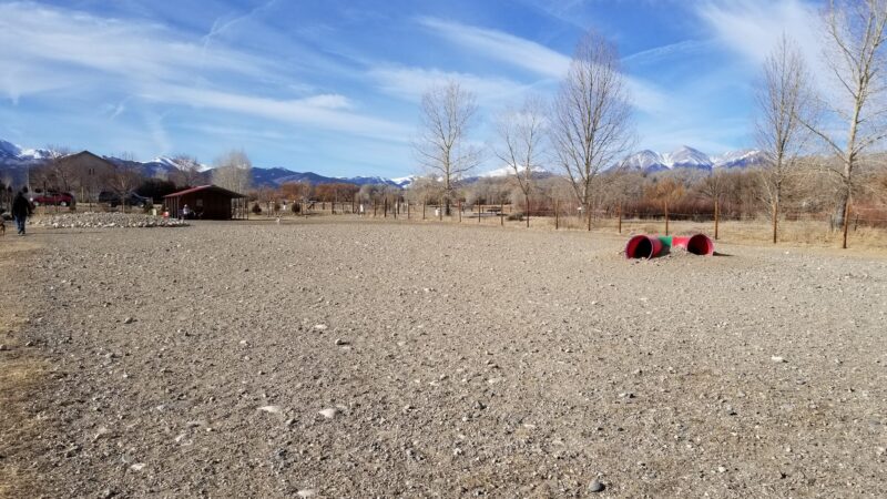Loyal Duke's Dog Park - Salida, CO