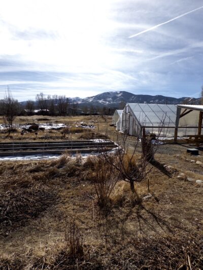 Loyal Duke's Dog Park - Salida, CO