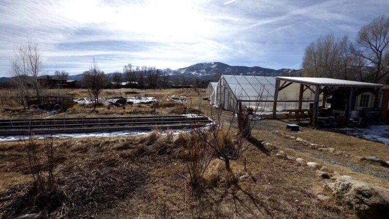 Loyal Duke's Dog Park - Salida, CO