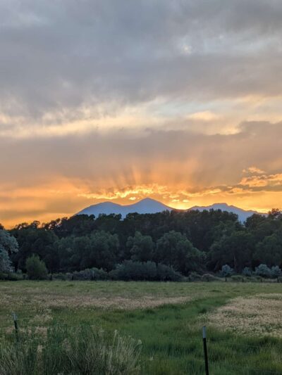 Loyal Duke's Dog Park - Salida, CO