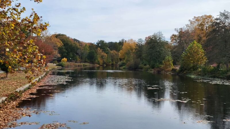 Salisbury City Park - Salisbury, MD