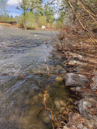 Island Park - Salmon, ID