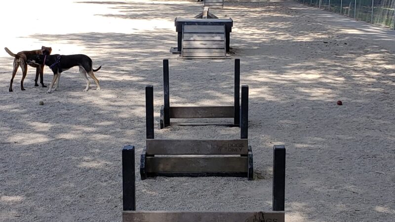 Herman Franks Dog Park - Salt Lake City, UT