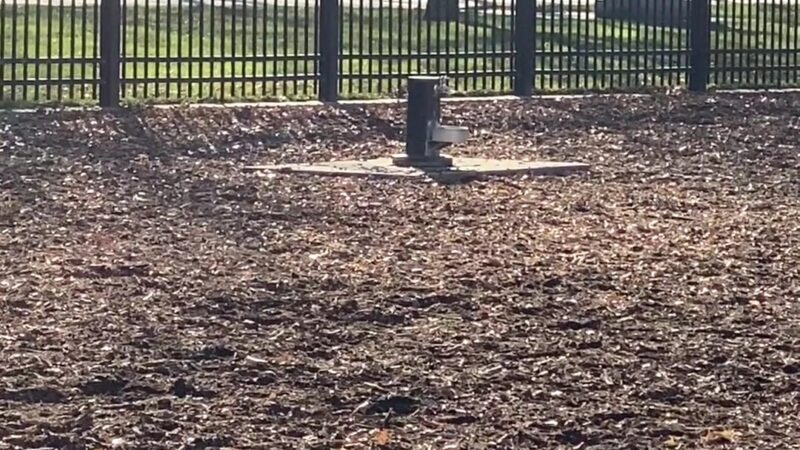 Pioneer Dog Park - Salt Lake City, UT